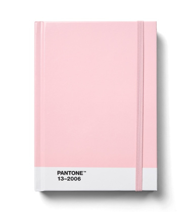 Notatnik dotted pages PANTONE NOTEBOOK SMALL - Light Pink 13-2006