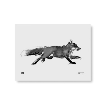 Poster lis Teemu Jarvi 30x40 ADVENTUROUS FOX