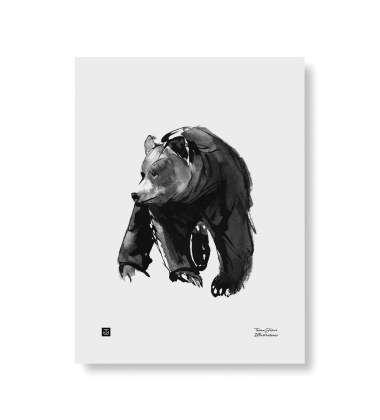 Poster niedźwiedź Teemu Jarvi 30x40 GENTLE BEAR