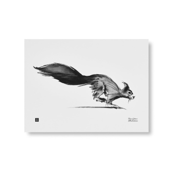 Poster wiewiórka Teemu Jarvi 30x40 SQUIRREL