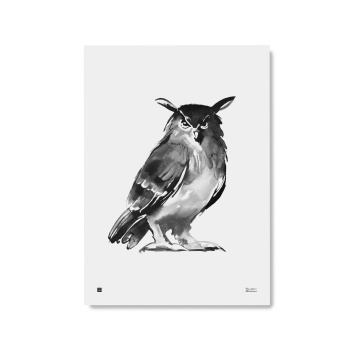 Poster sowa Teemu Jarvi 50x70 OWL