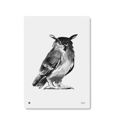 Poster sowa Teemu Jarvi 50x70 OWL