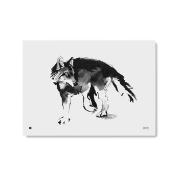 Poster wilk Teemu Jarvi 50x70 WOLF