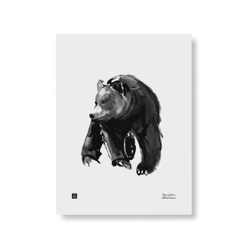 Poster niedźwiedź Teemu Jarvi 50x70 GENTLE BEAR