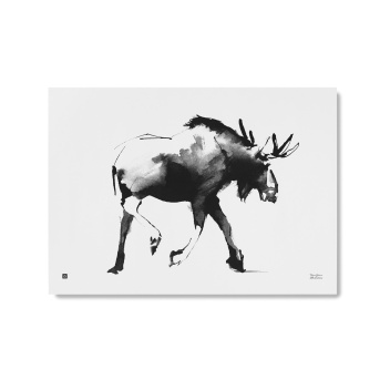 Poster łoś Teemu Jarvi 50x70 ELK