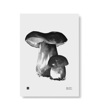 Poster grzyby Teemu Jarvi 30x40 PORCINI