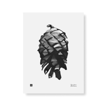 Poster szyszka Teemu Jarvi 30x40 PINE CONE