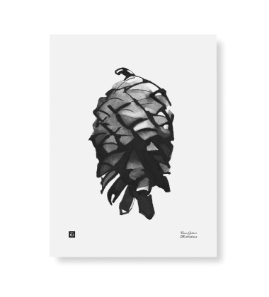 Poster szyszka Teemu Jarvi 30x40 PINE CONE