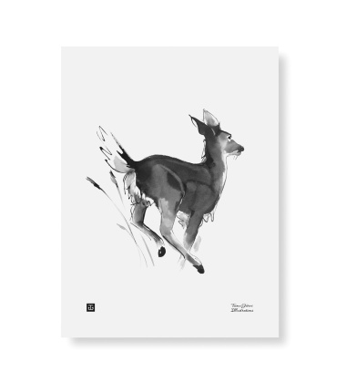 Poster jelonek Teemu Jarvi 30x40 WHITE-TAILED DEER