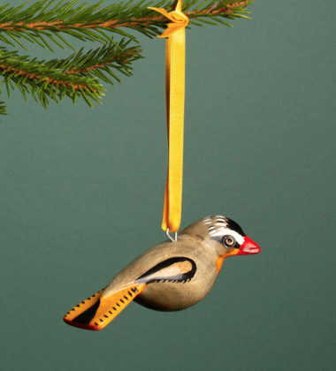 Zawieszka drewniany ptaszek rudzik czajek Jacaranda Wooden Ornament - Robin Chat