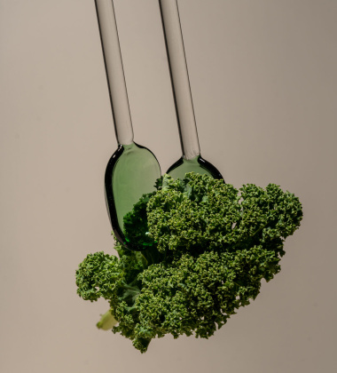 Komplet szklanych łyżek do serwowania SALAD SERVERS Set2 Clear-Green