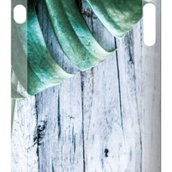 Etui na telefon Iphone 7 Case Wood-Monstera